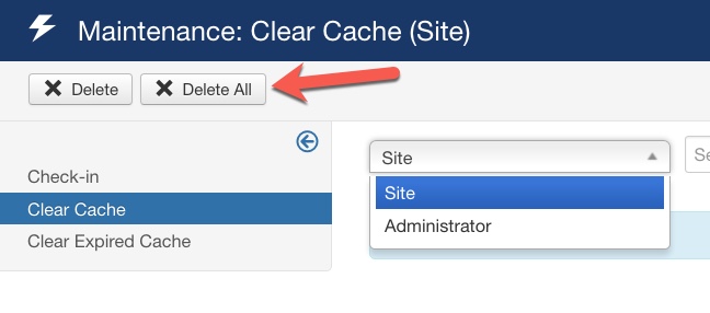 joomla36 update Delete All Cache